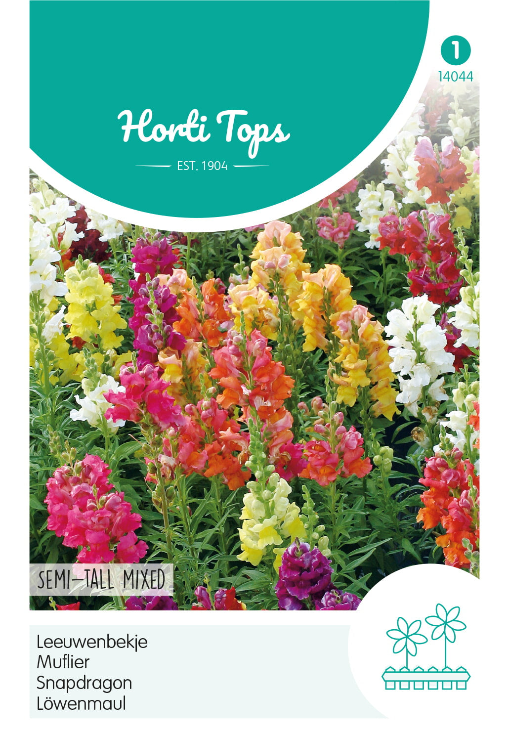 Horti Tops Löwenmaul Halbhohe Mischung