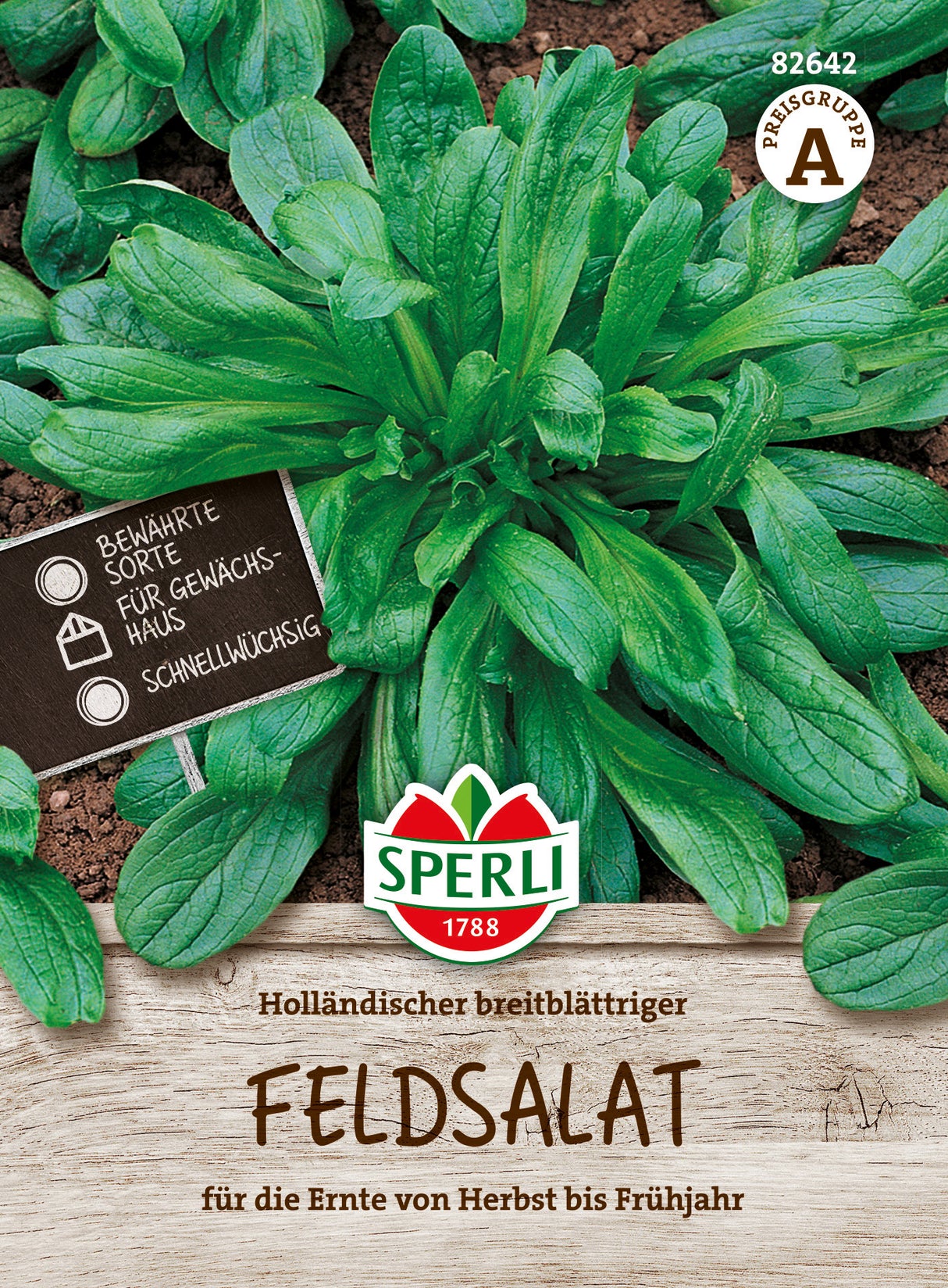 SPERLI Feldsalat Holländischer breitblättriger