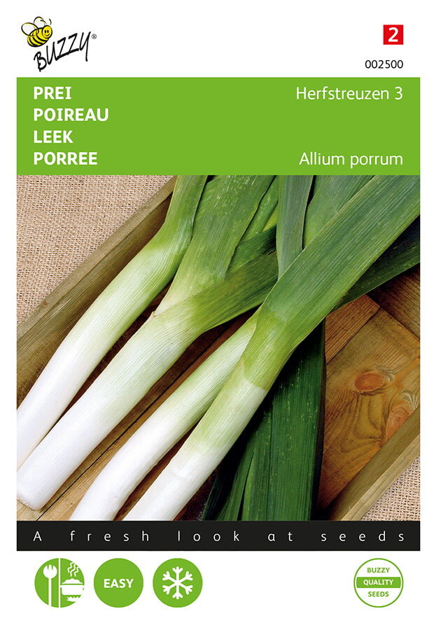 Buzzy Seeds Lauch Herbstriesen 3 Elefant