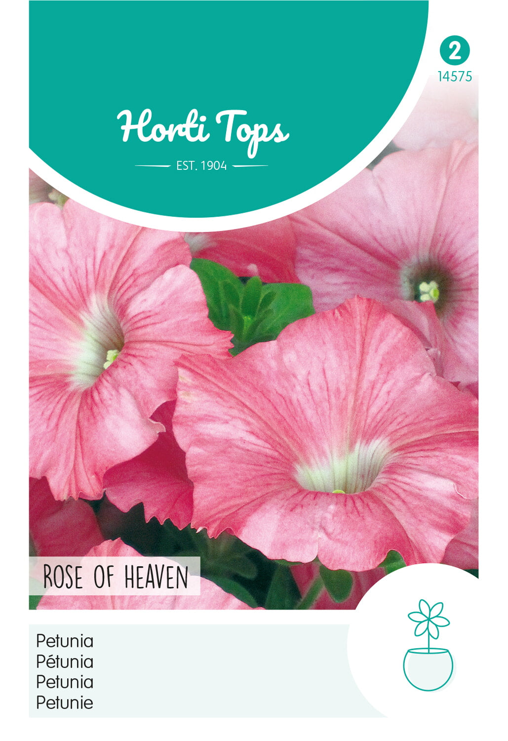 Horti Tops Petunie Nana Compacta Himmelröschen