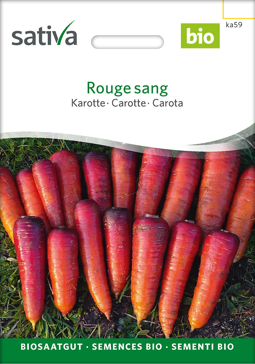 Sativa Karotte Rouge sang