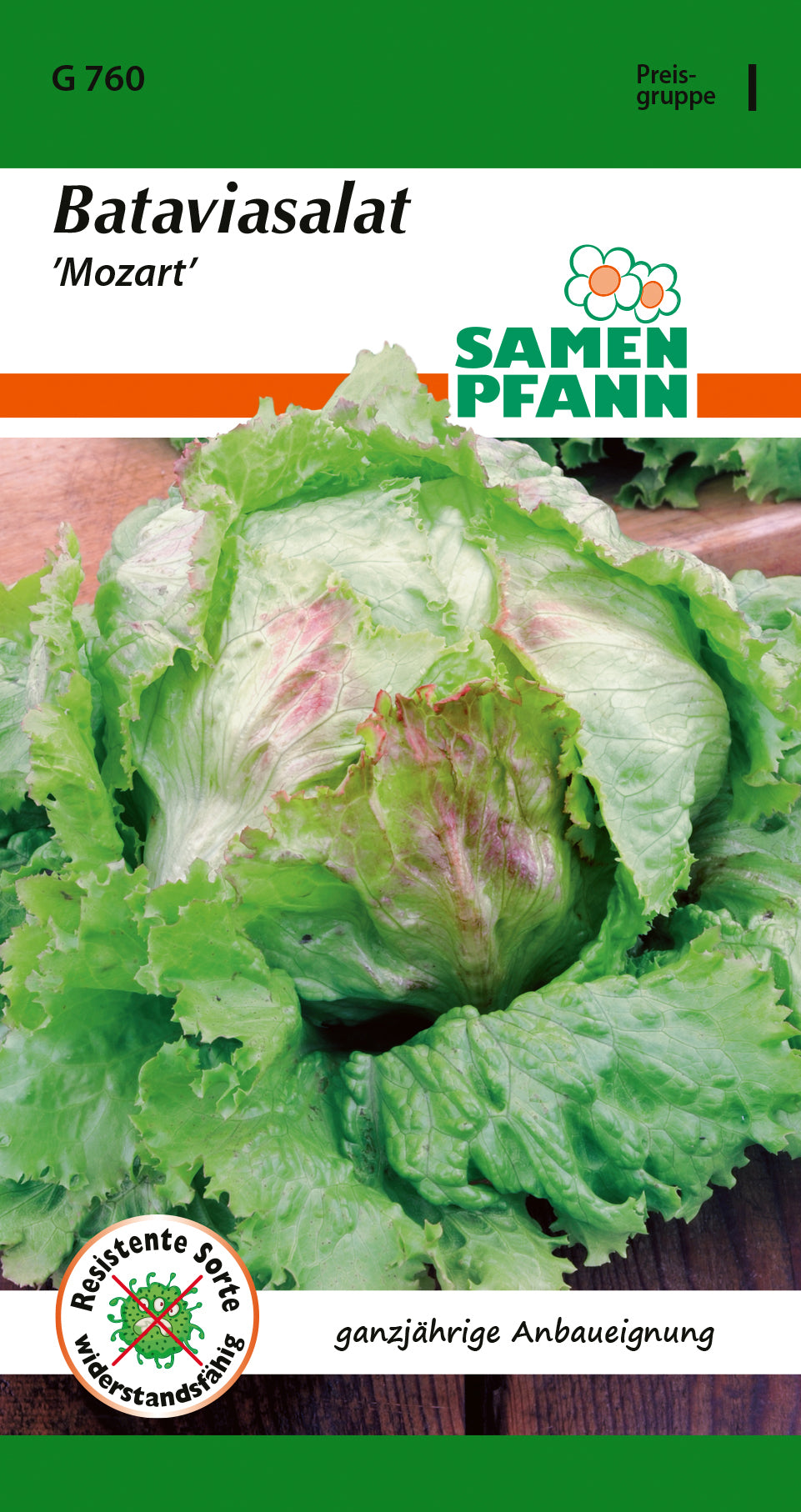 Samen Pfann Bataviasalat Mozart