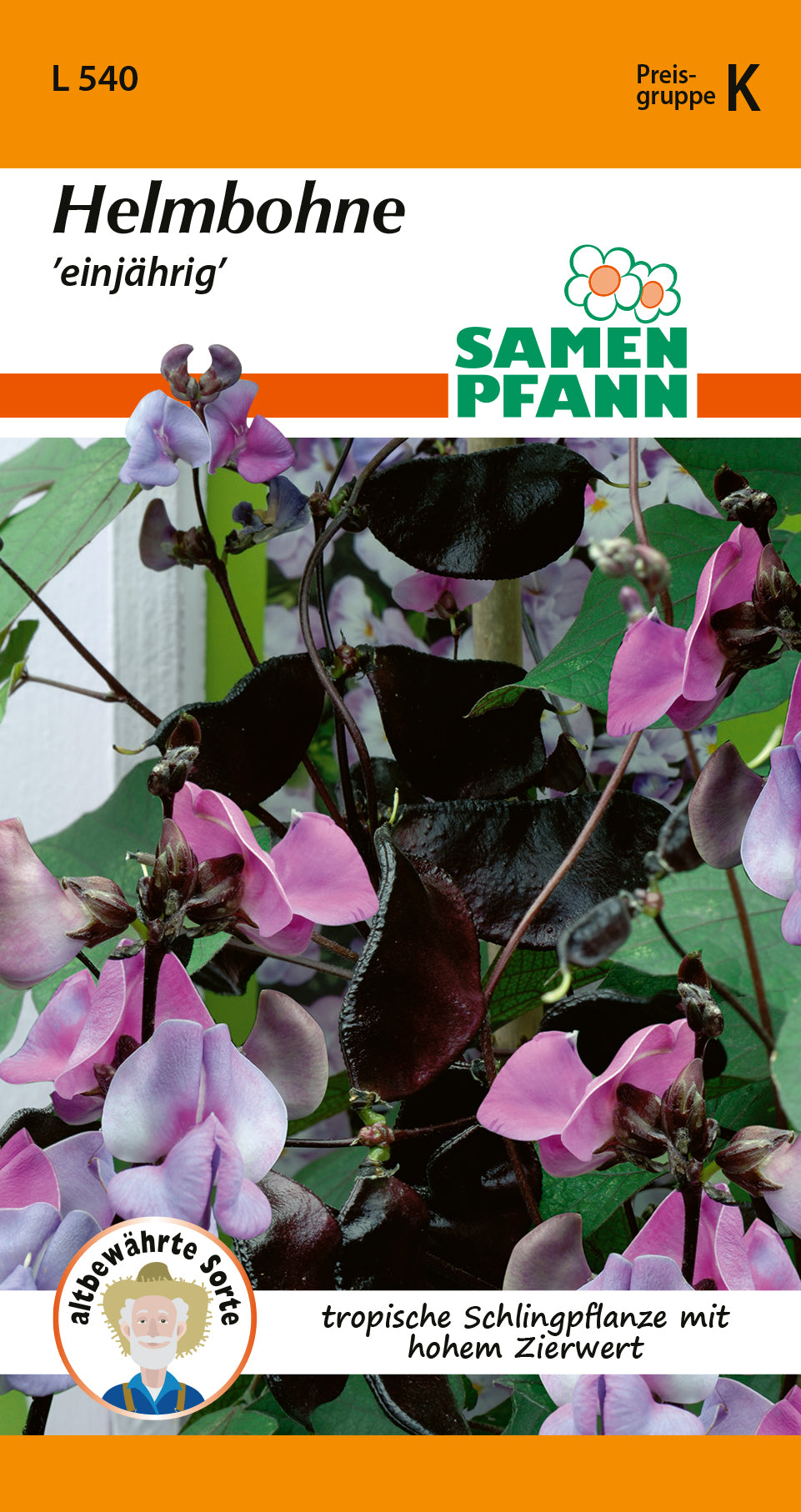 Samen Pfann einjährig Helmbohne