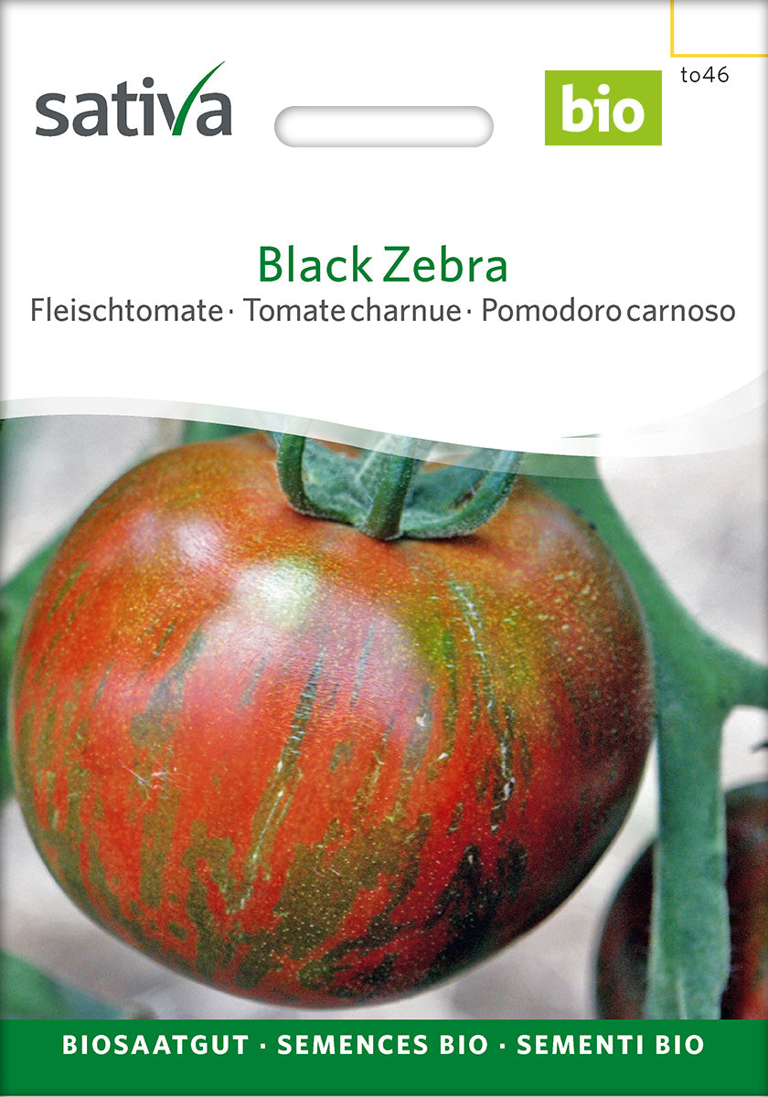 Sativa Fleischtomate Black Zebra