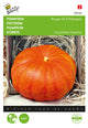 Buzzy Seeds Kürbis Rouge vif d’Etampes