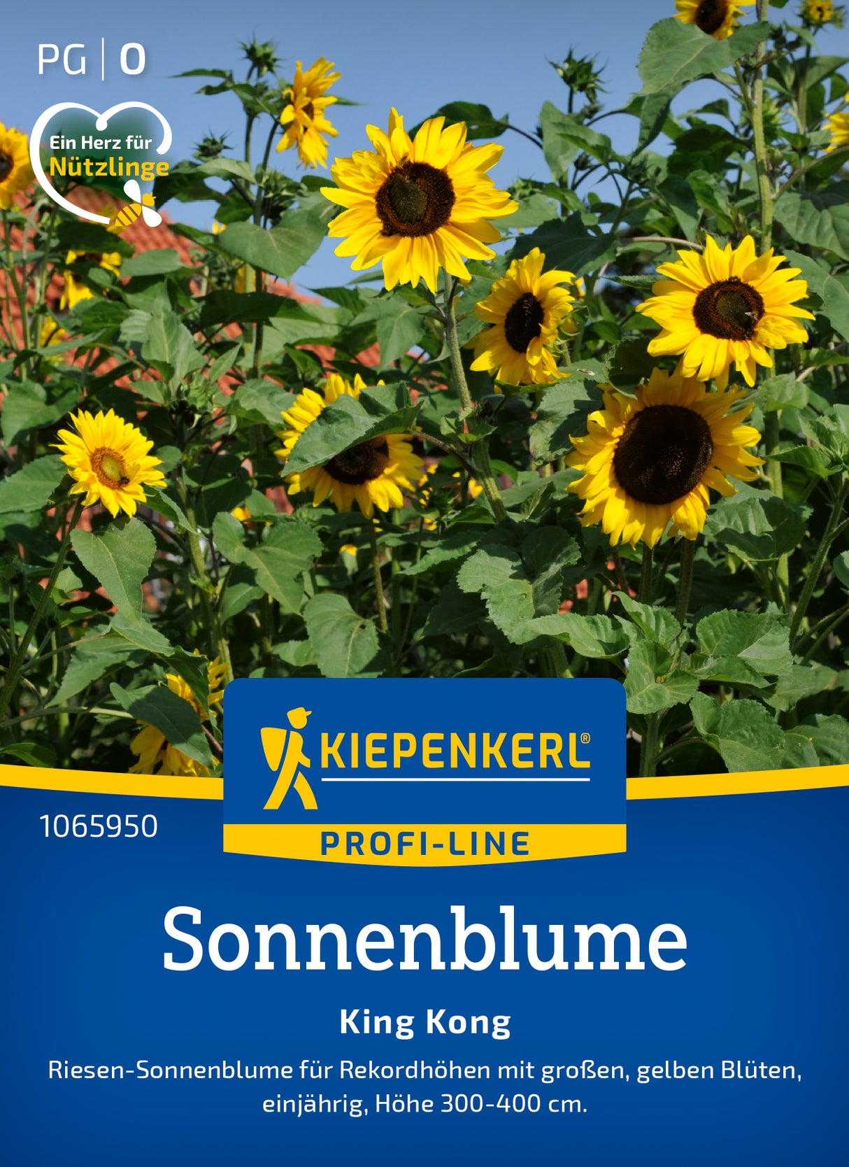 Kiepenkerl Sonnenblumen King Kong