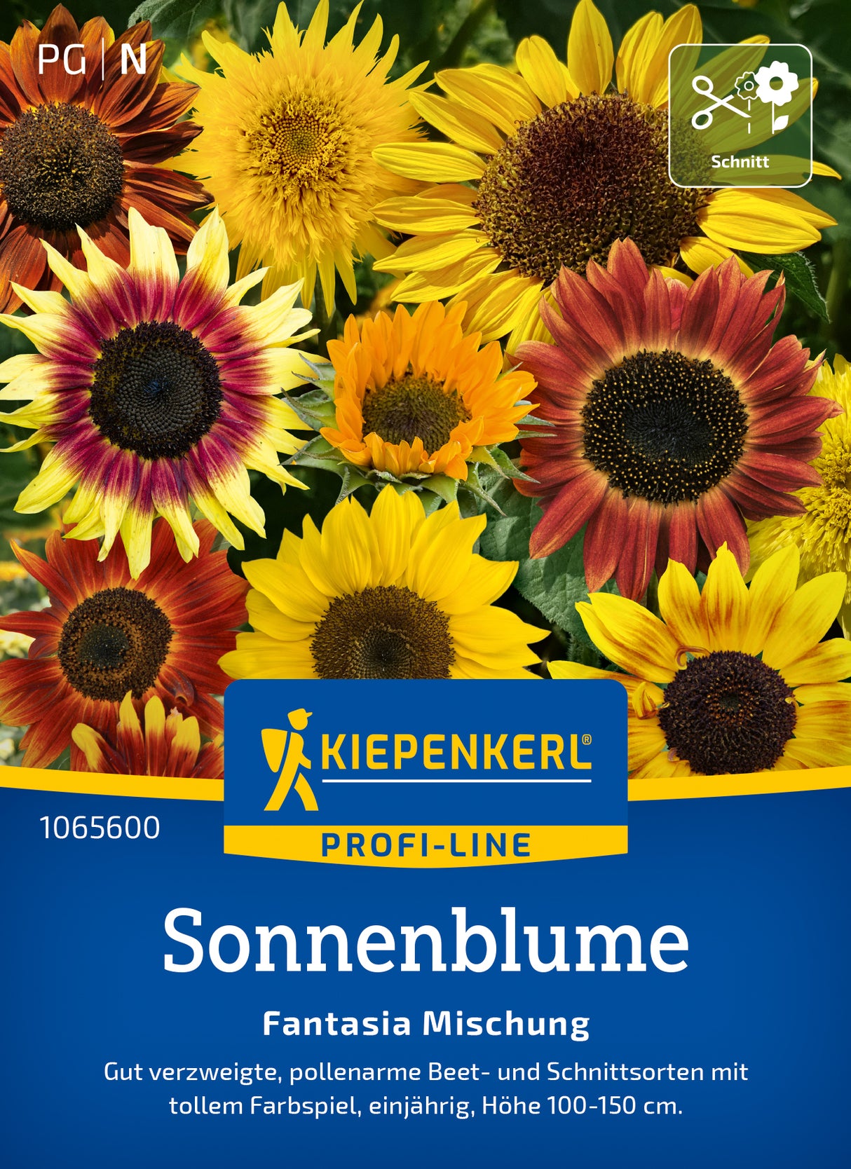 Kiepenkerl Sonnenblumen Fantasia Mischung