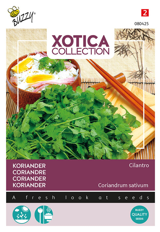 Buzzy Seeds Koriander Cilantro