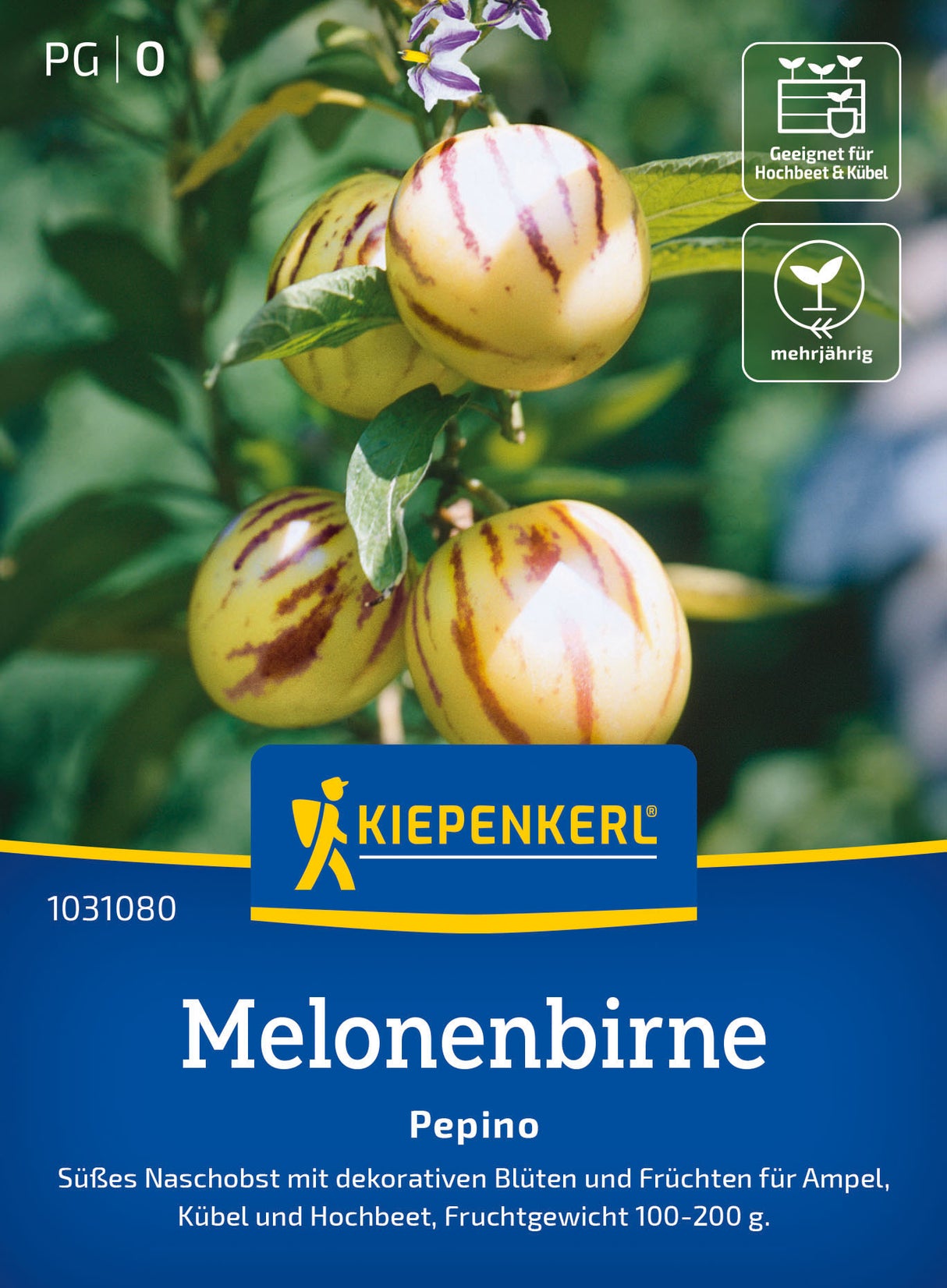 Kiepenkerl Melonenbirne Pepino