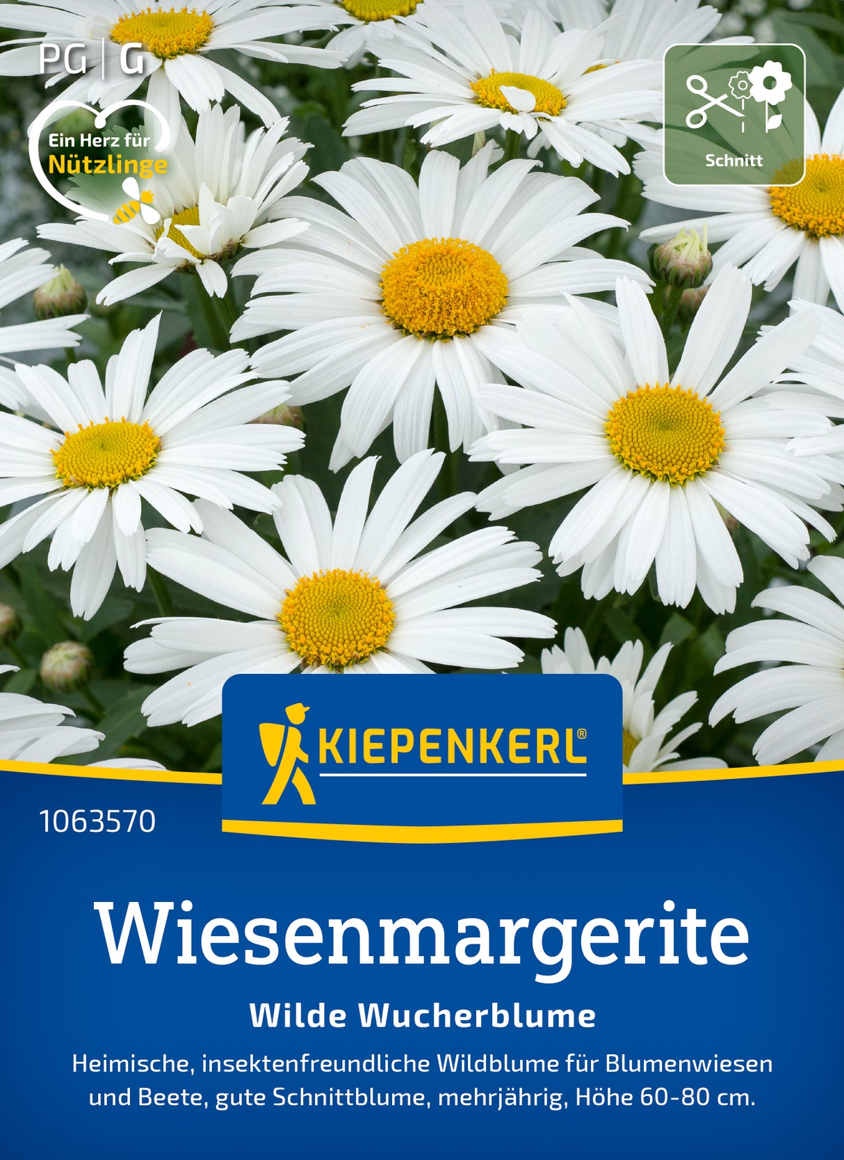 Kiepenkerl Margeriten Wilde Wucherblume