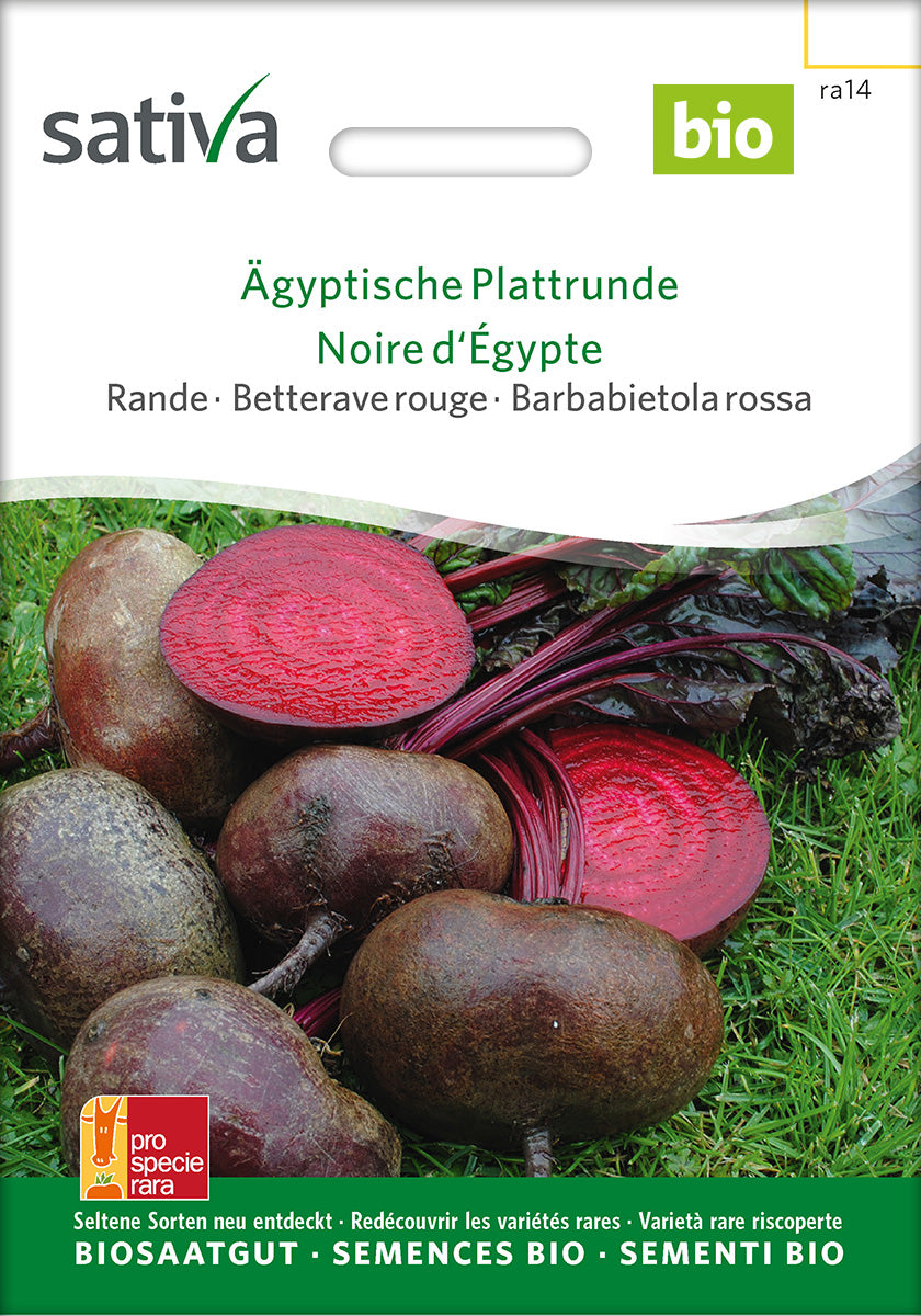 Sativa Rande Ägyptische Plattrunde