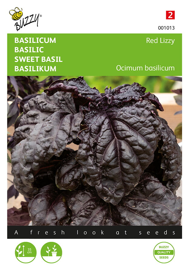 Buzzy Seeds Basilikum Red Lizzy