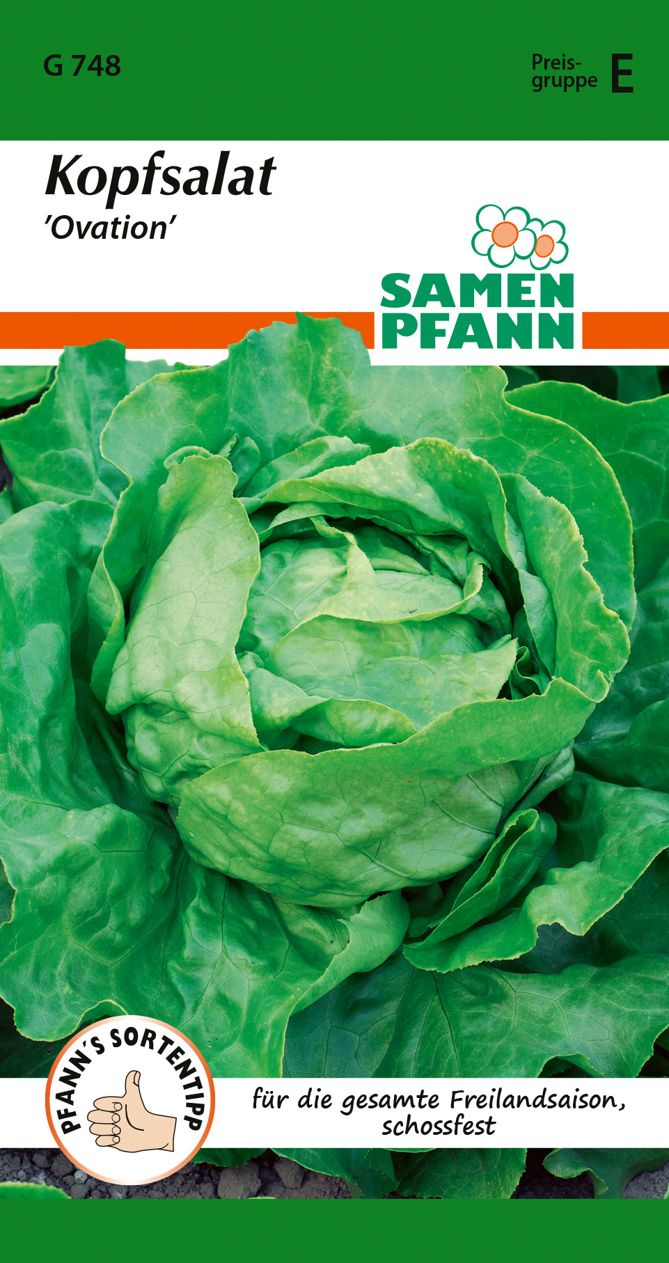 Samen Pfann Kopfsalat Ovation