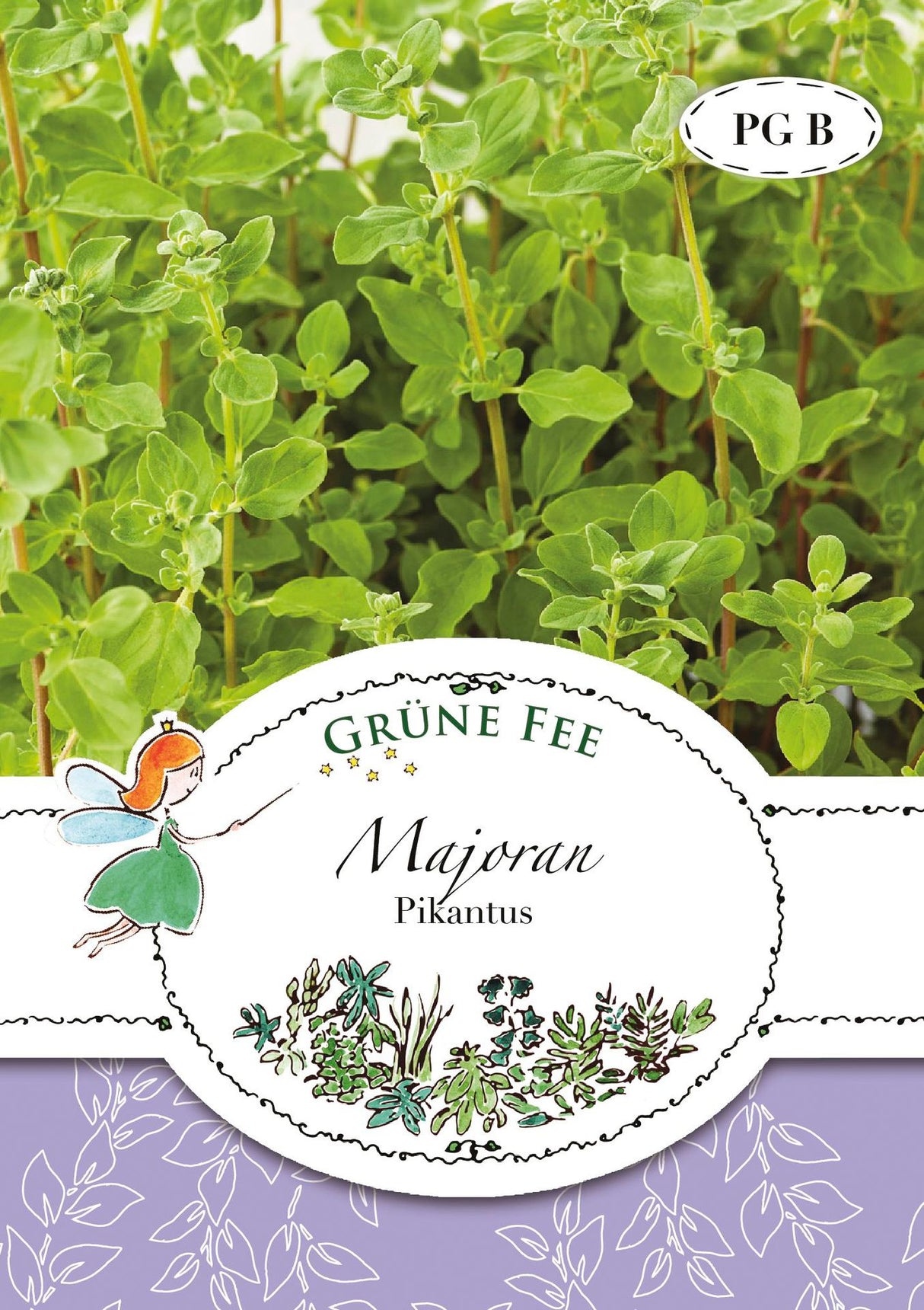Grüne Fee Majoran Einjährig