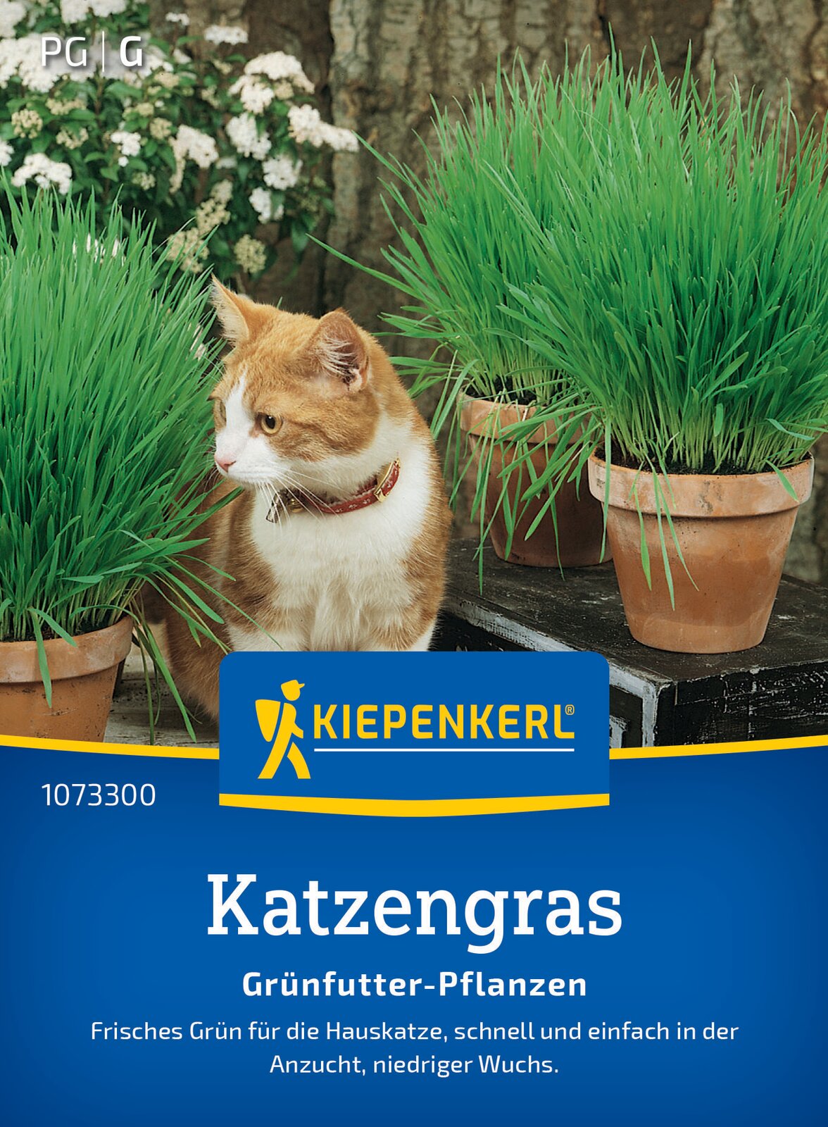 Kiepenkerl Gräser Katzengras Frischgrün Mischung Loses Saatgut