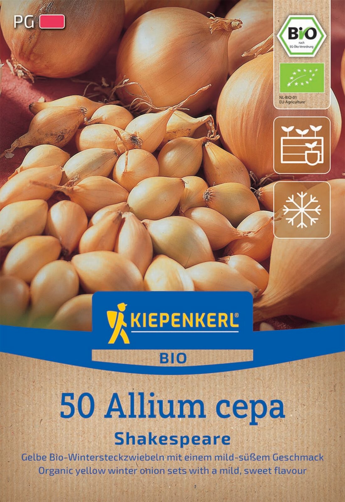 Kiepenkerl BIO Wintersteckzwiebel Shakespeare 50 Stück