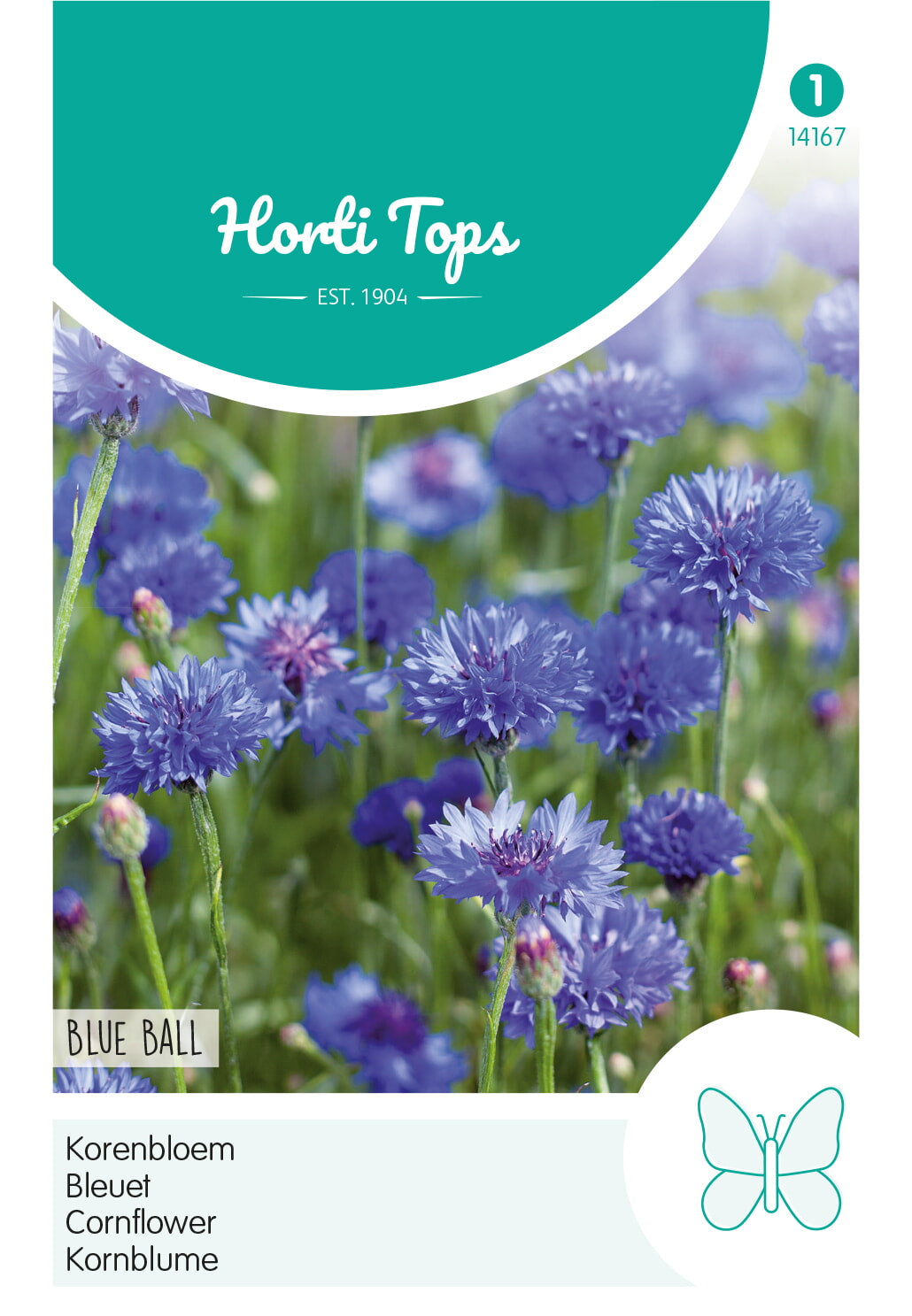 Horti Tops Kornblume Gefüllte Blue Ball