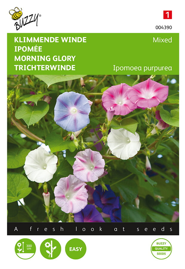 Buzzy Seeds Trichterwinde Mischung