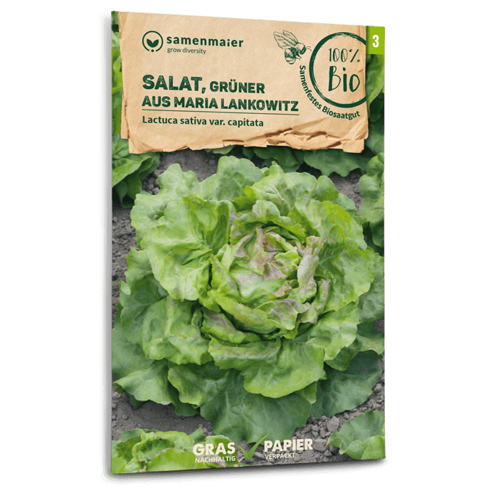 Samen Maier BIO Salat Grüner aus Maria Lankowitz