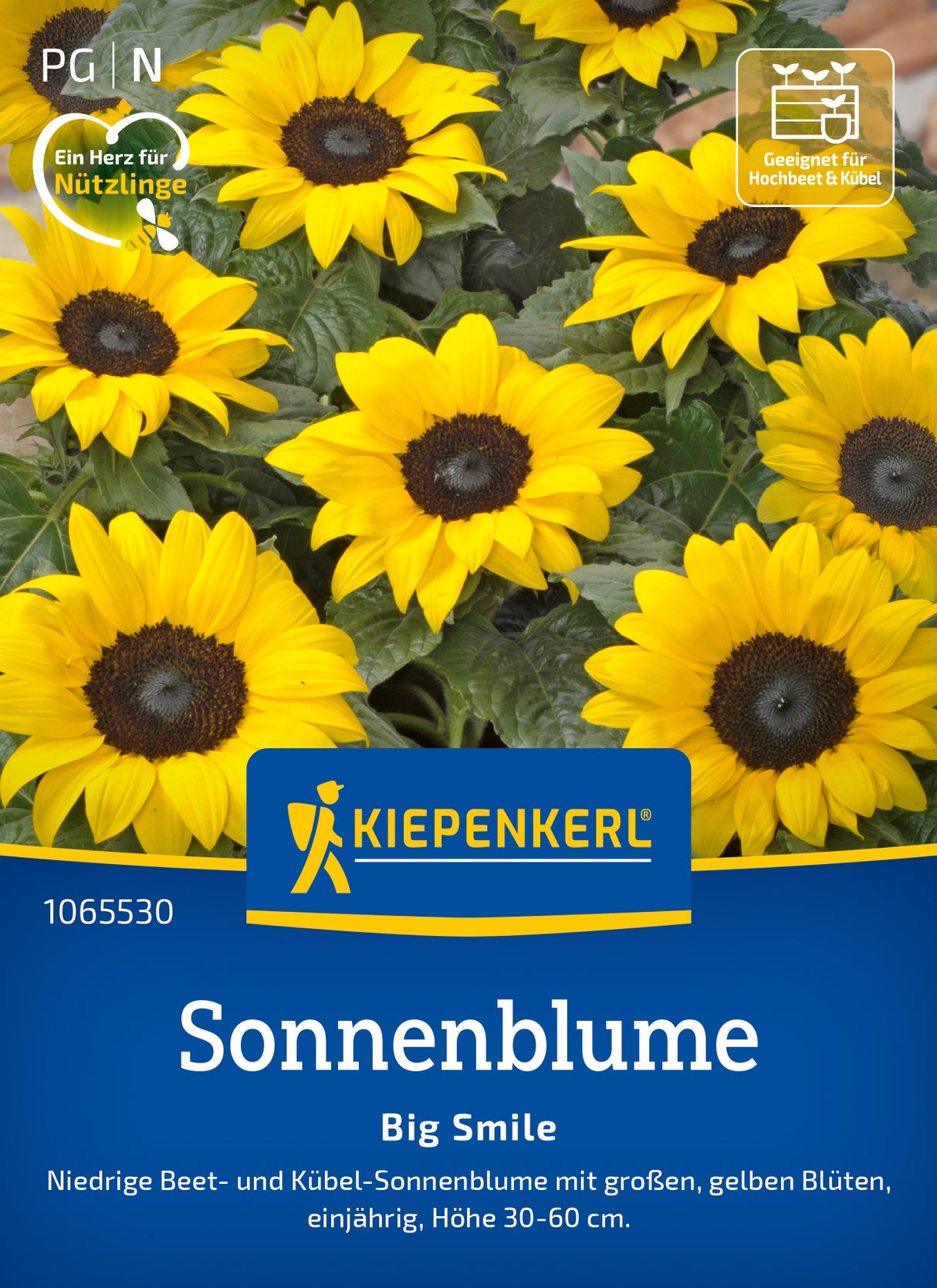 Kiepenkerl Sonnenblumen Big Smile