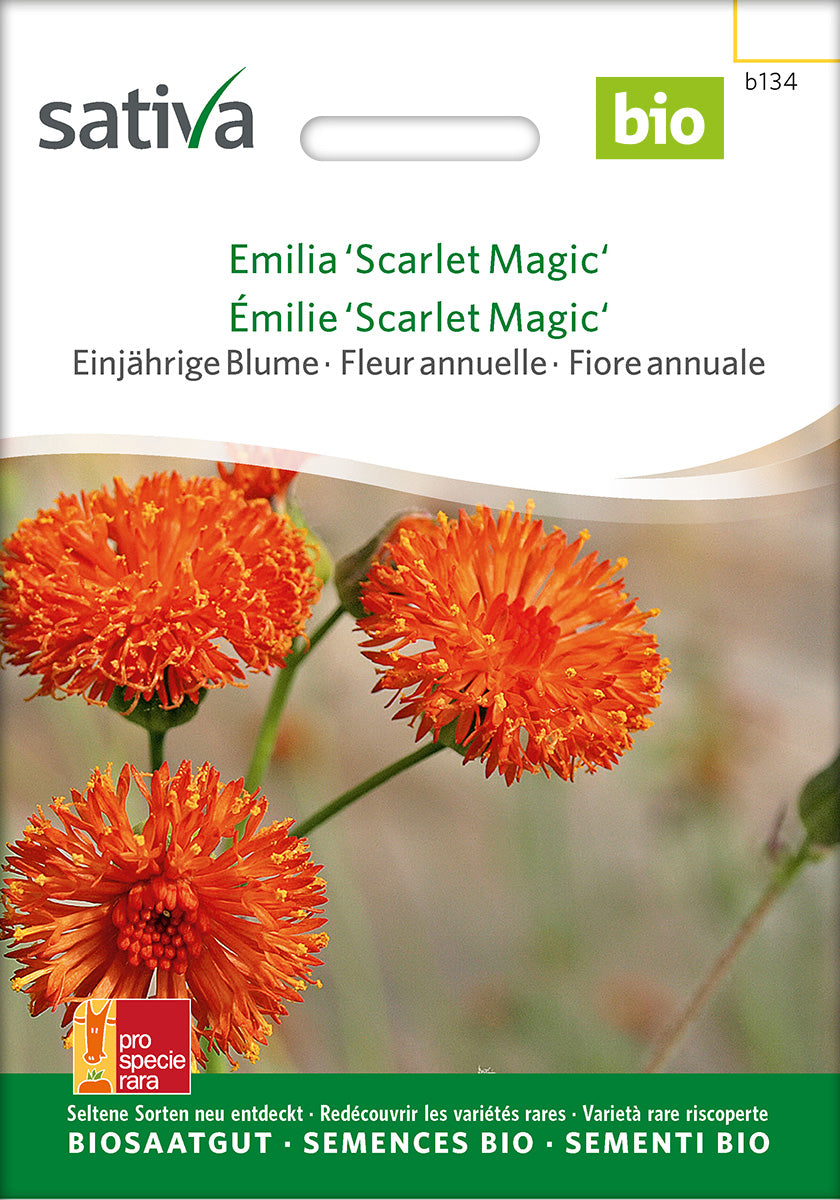 Sativa Emilia Scarlet Magic