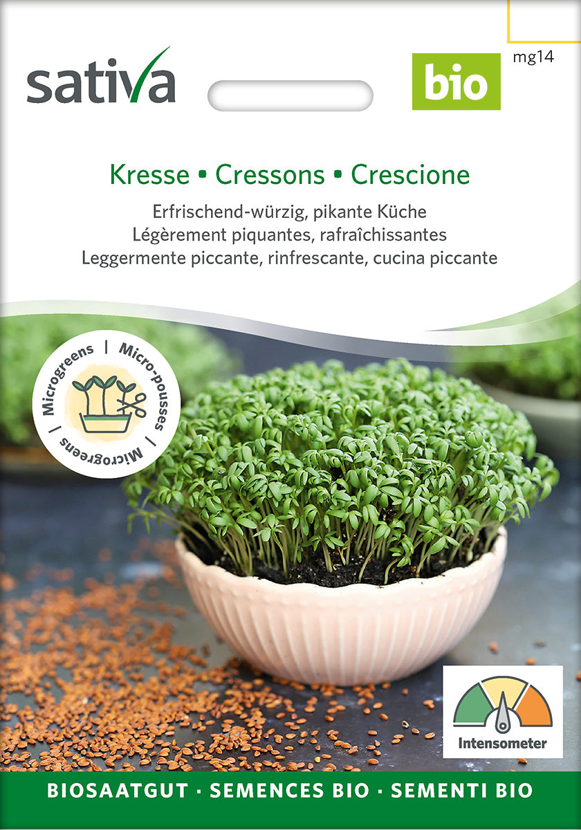 Sativa Keimsprossen Kresse