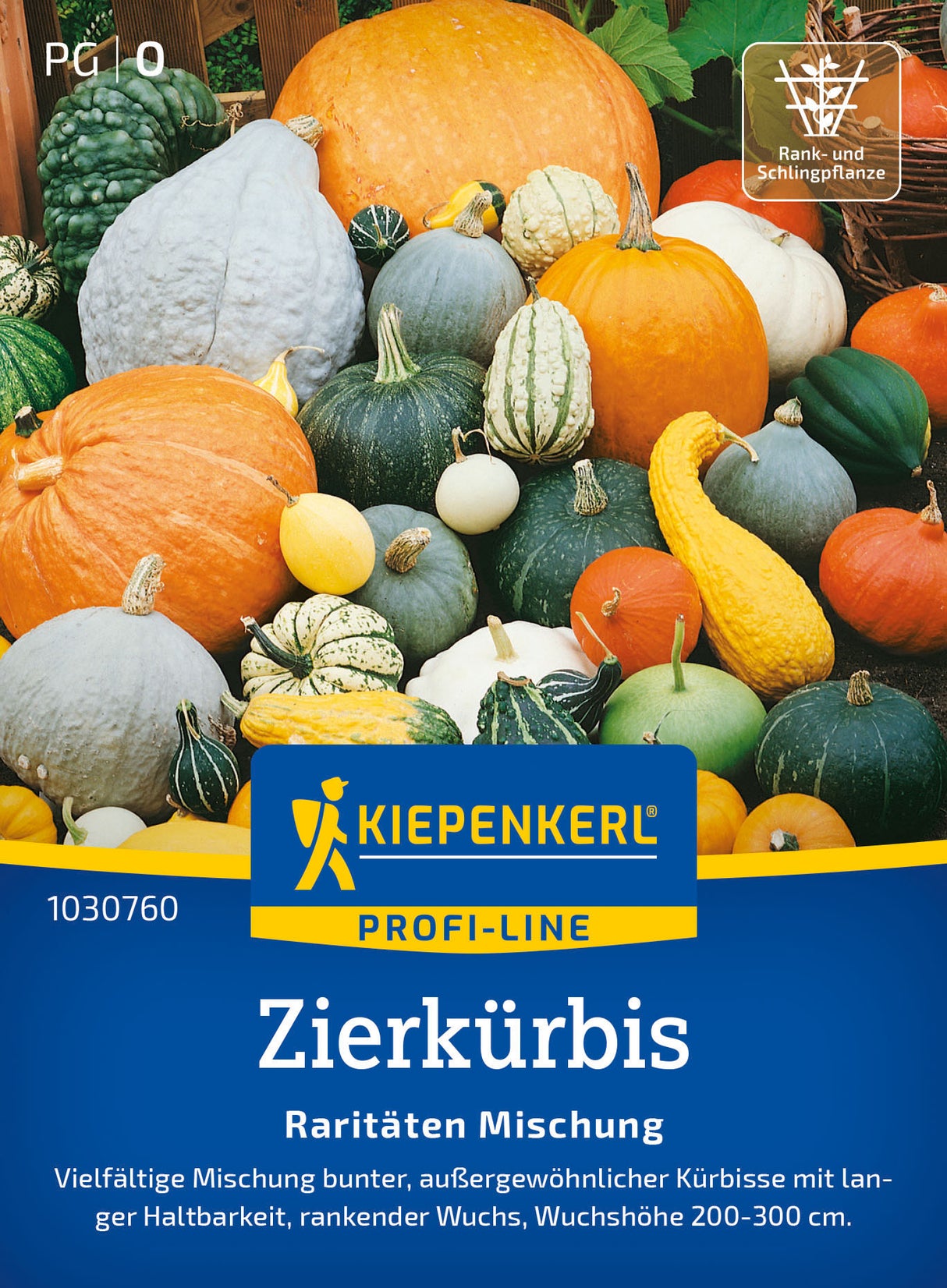 Kiepenkerl Kürbis Raritäten Mischung