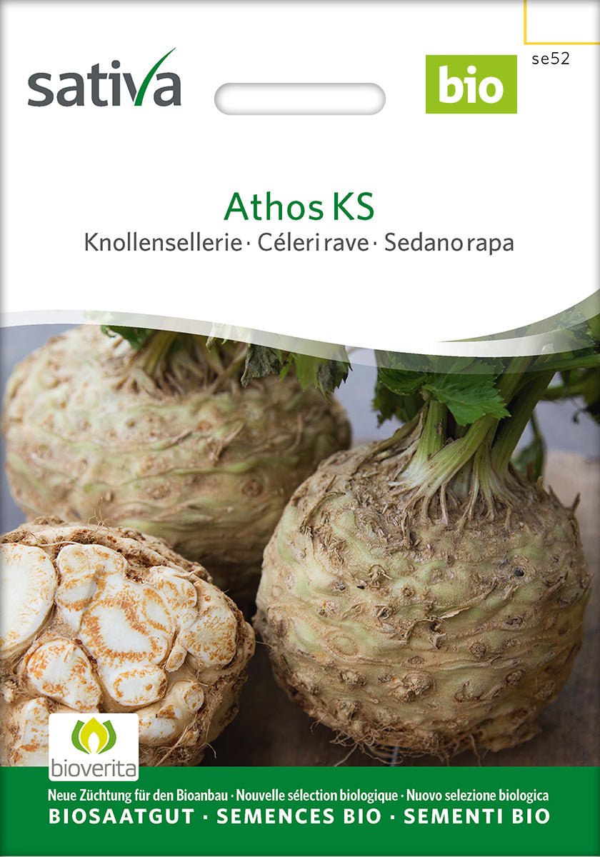 Sativa Knollensellerie Athos KS