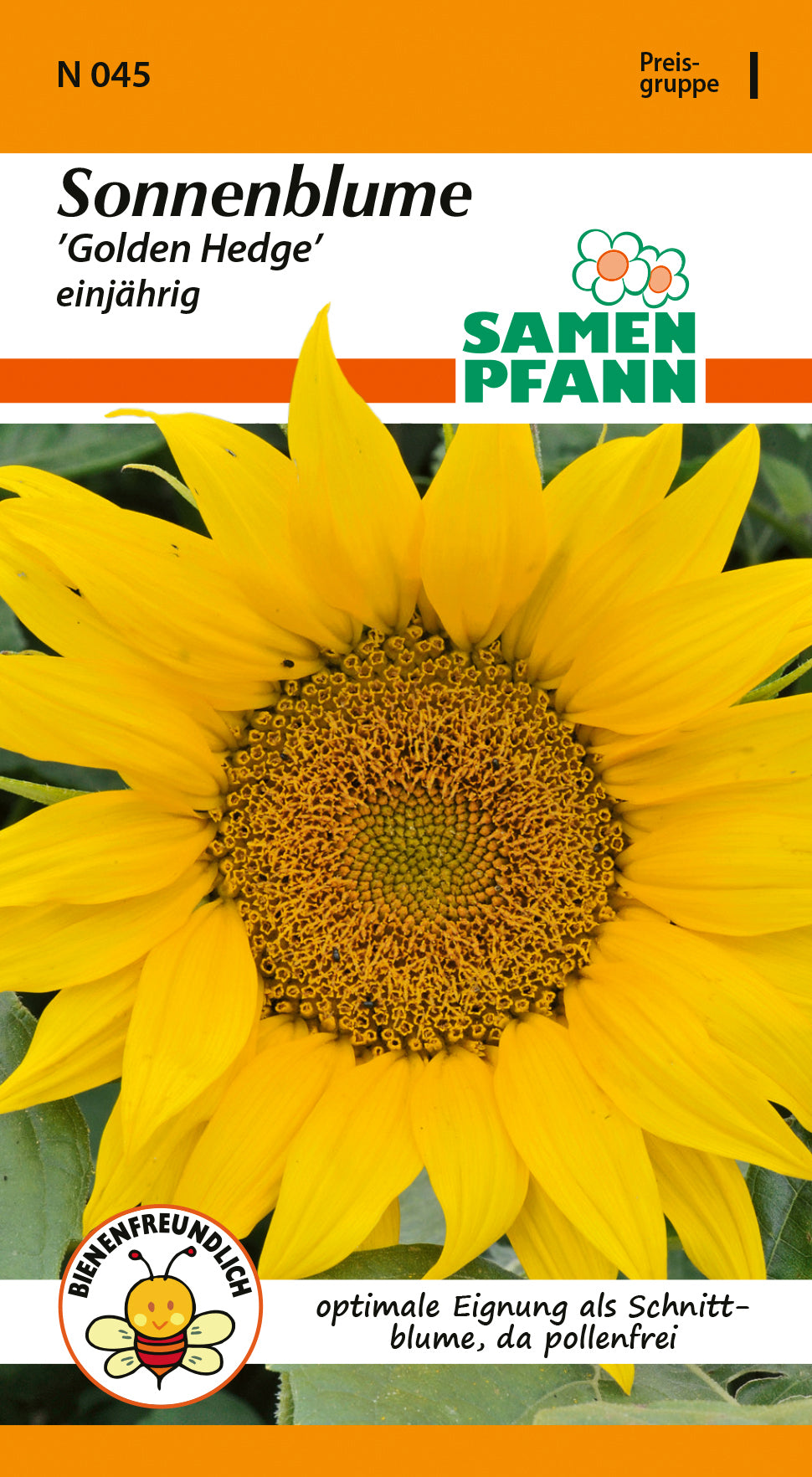 Samen Pfann Sonnenblume Golden Hedge einjährig