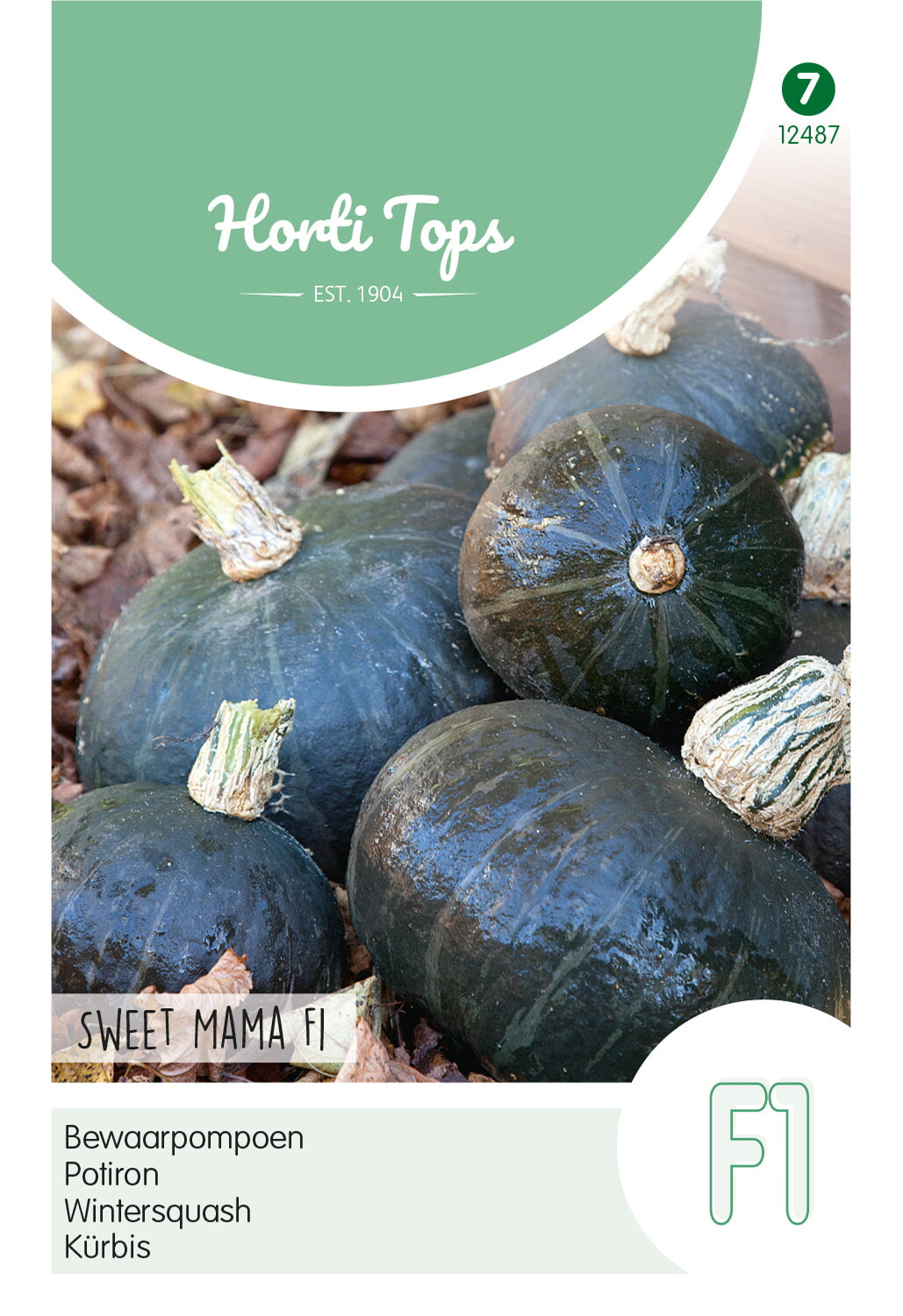 Horti Tops Kürbis Sweet Mama