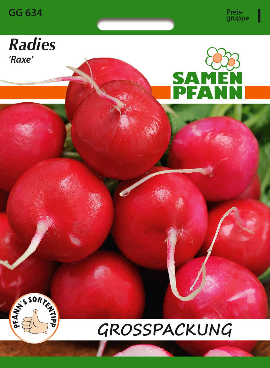 Samen Pfann Radieschen Raxe Vorteilspackung