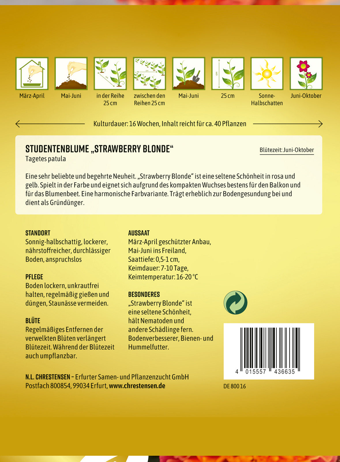 N.L. Chrestensen Studentenblume Strawberry Blonde