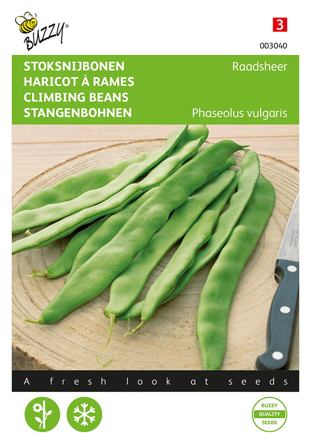 Buzzy Seeds Stangenbohnen Rentmeester