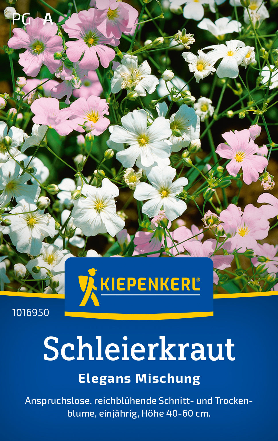 Kiepenkerl Schleierkraut Elegans Mischung