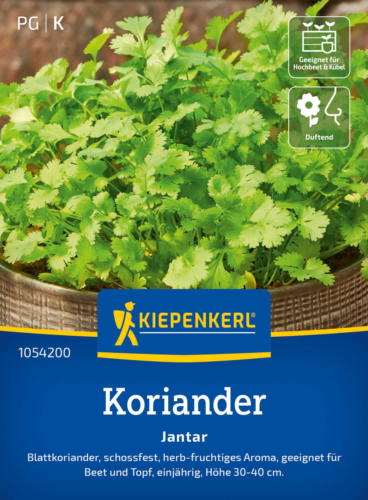 Kiepenkerl Koriander Jantar