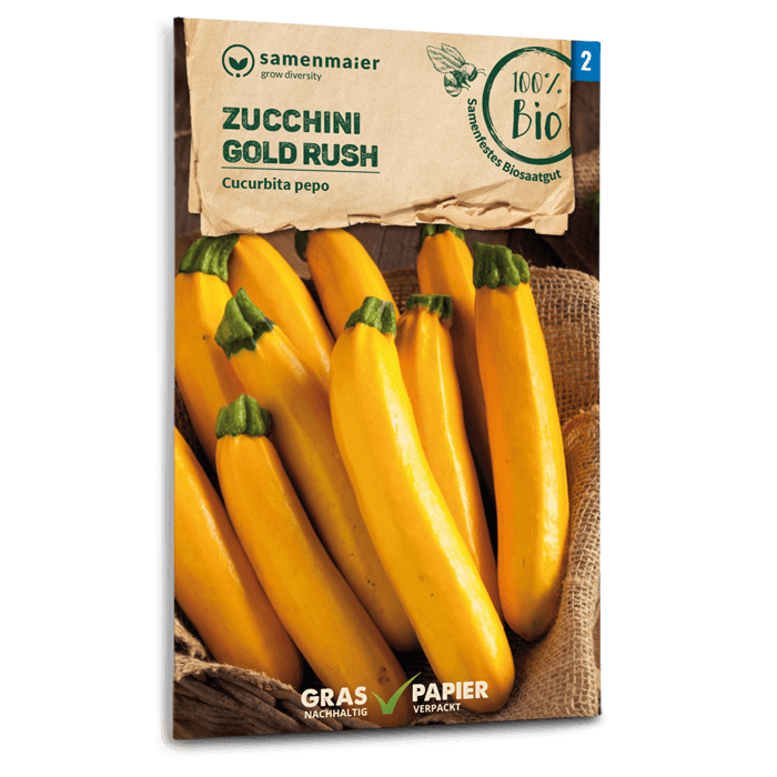 Samen Maier BIO Zucchini Gold Rush