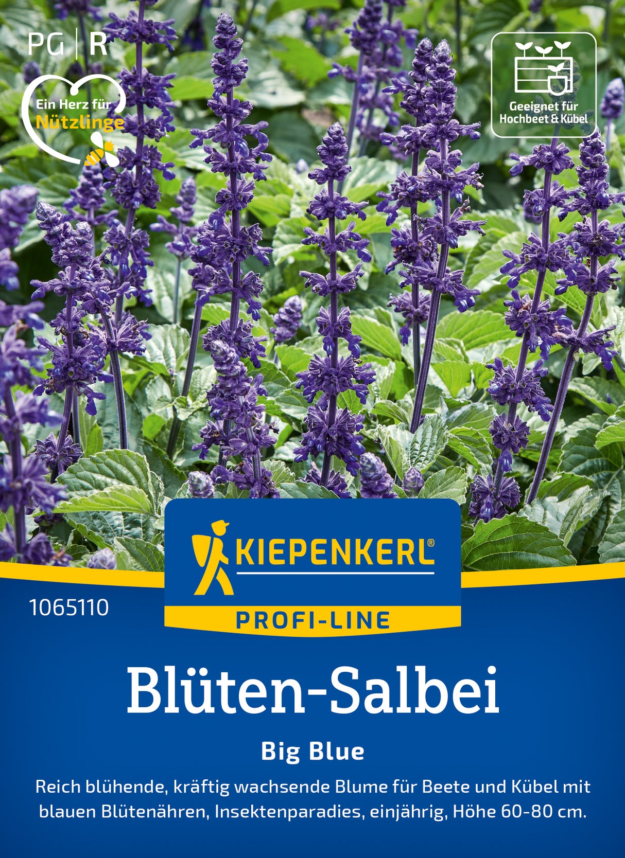 Kiepenkerl Salbei Big Blue