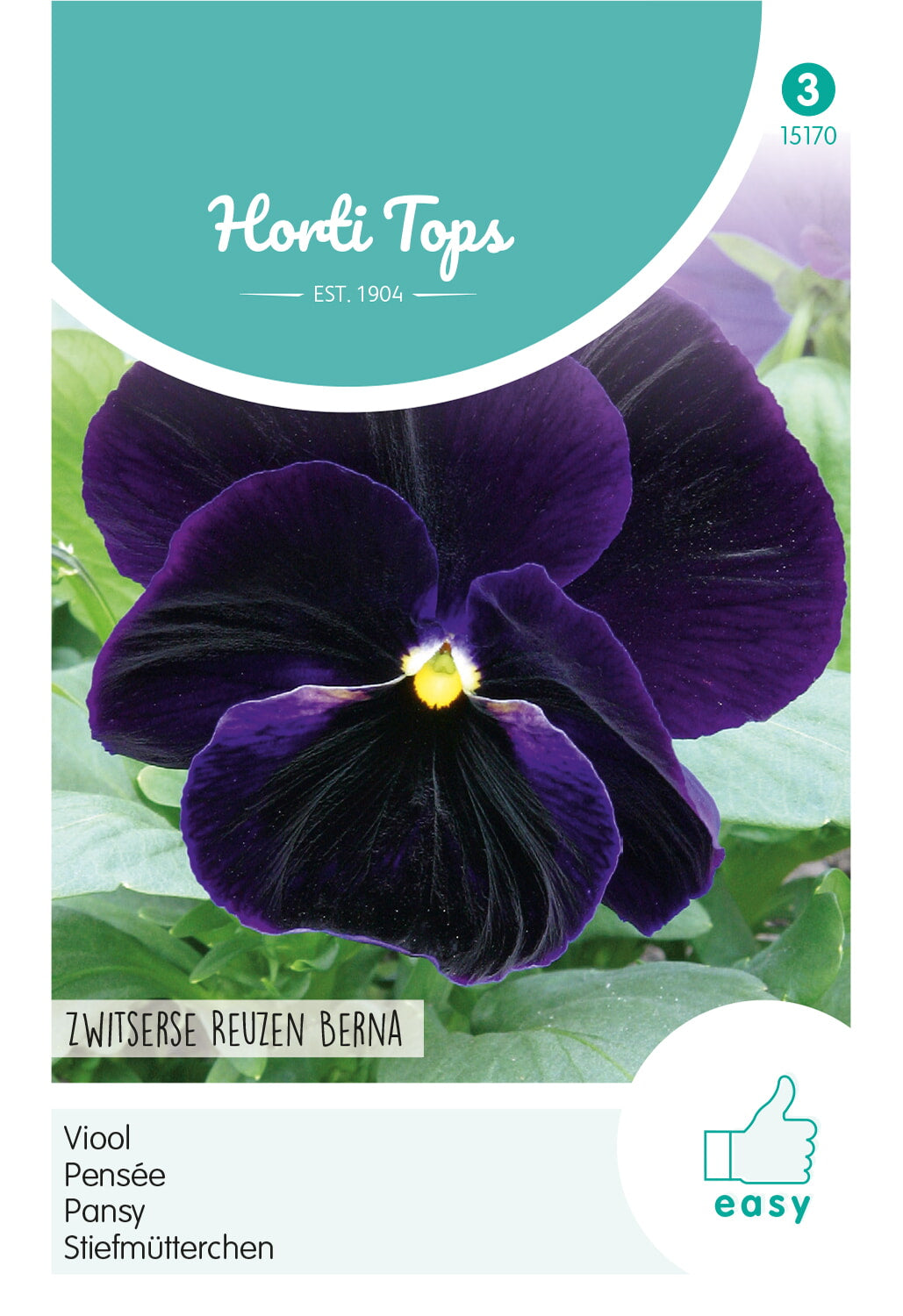 Horti Tops Garten-Stiefmütterchen Schweizer Riesen Berna