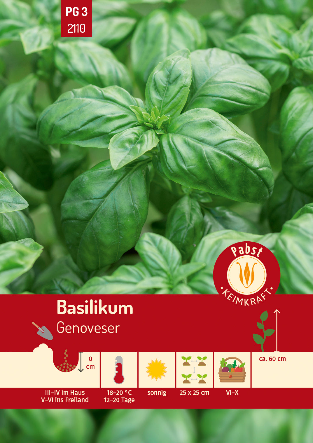Pabst Keimkraft Basilikum Genoveser