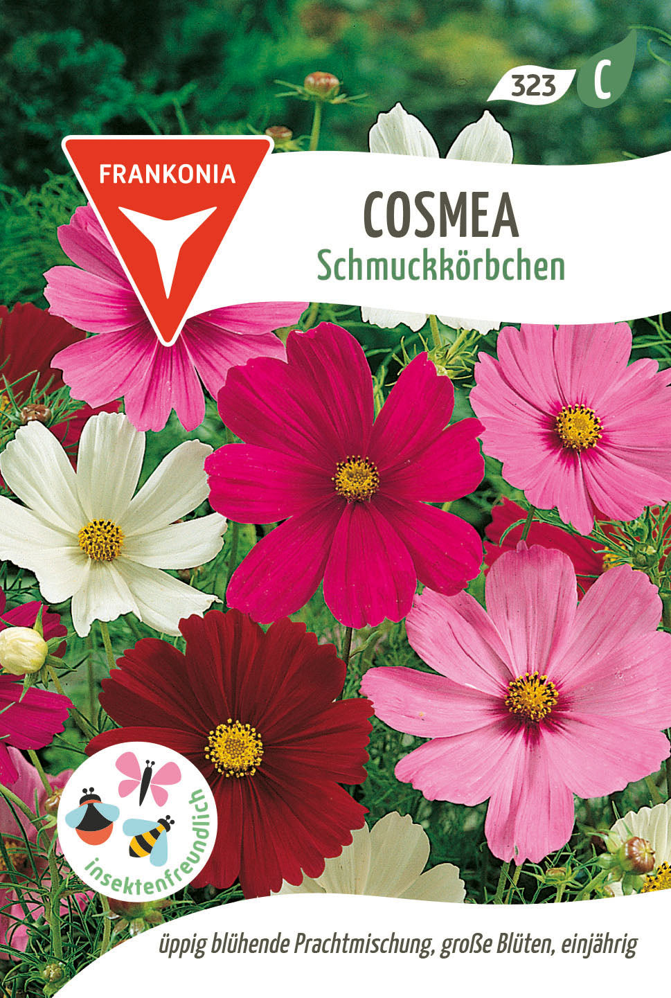 Frankonia Samen Schmuckkörbchen Cosmea