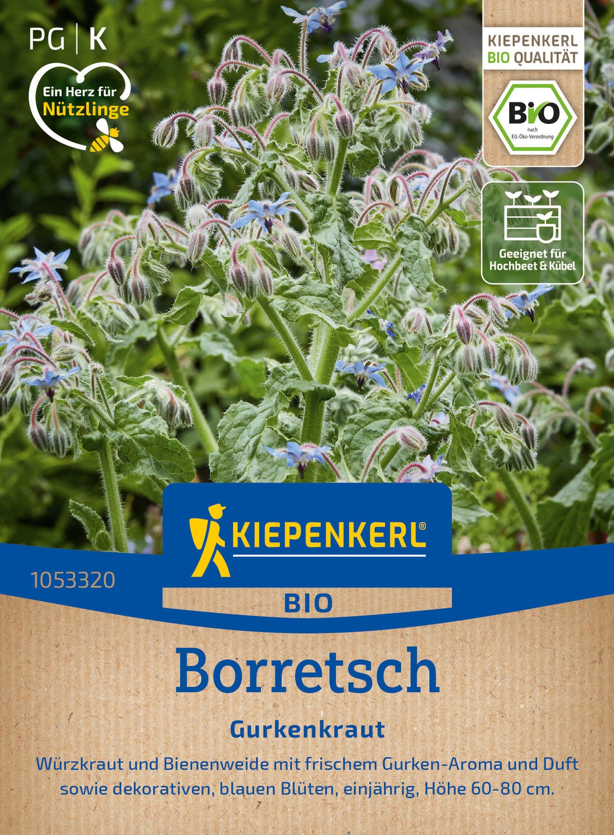 Kiepenkerl Borretsch Gurkenkraut
