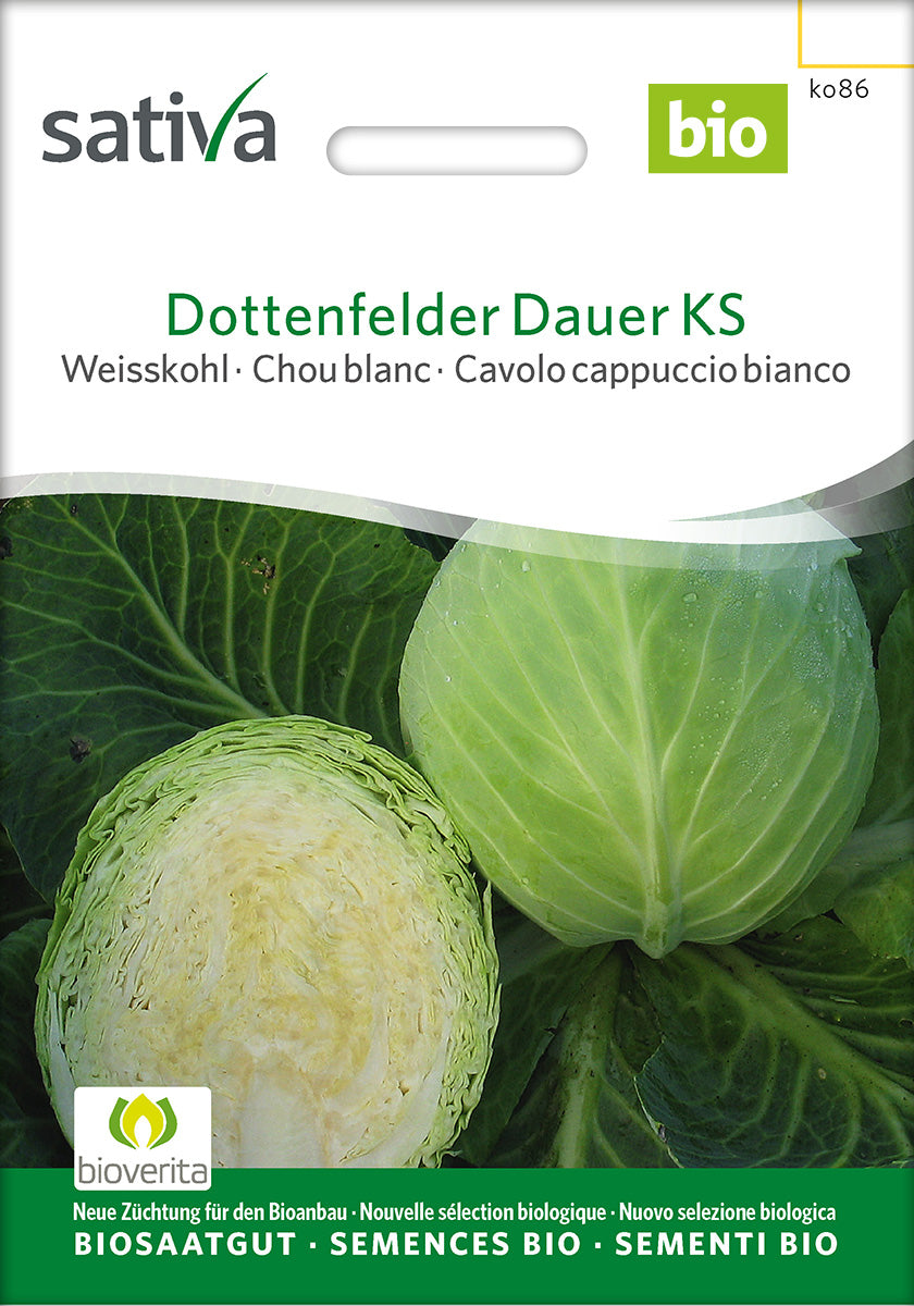 Sativa Weisskohl Dottenfelder Dauer KS