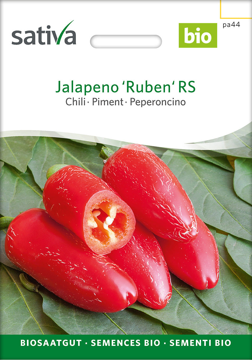 Sativa Chili Jalapeno 'Ruben' RS