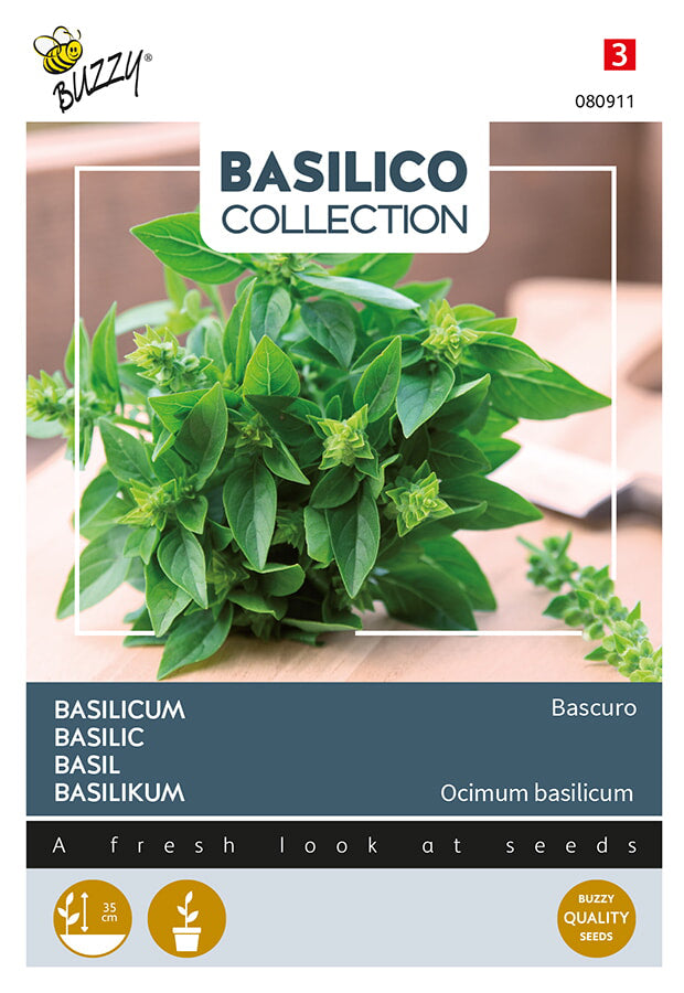 Buzzy Seeds Basilikum Bascuro