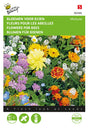 Buzzy Seeds Blumen-Mischung für Bienen