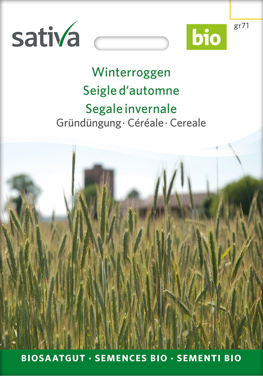 Sativa BIO Gründüngung Winterroggen
