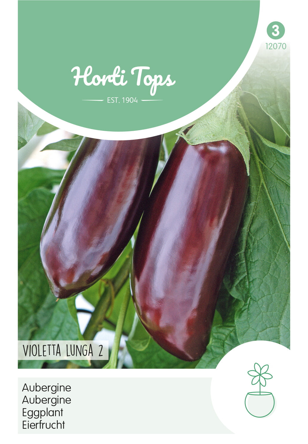 Horti Tops Aubergine Violetta lunga 2