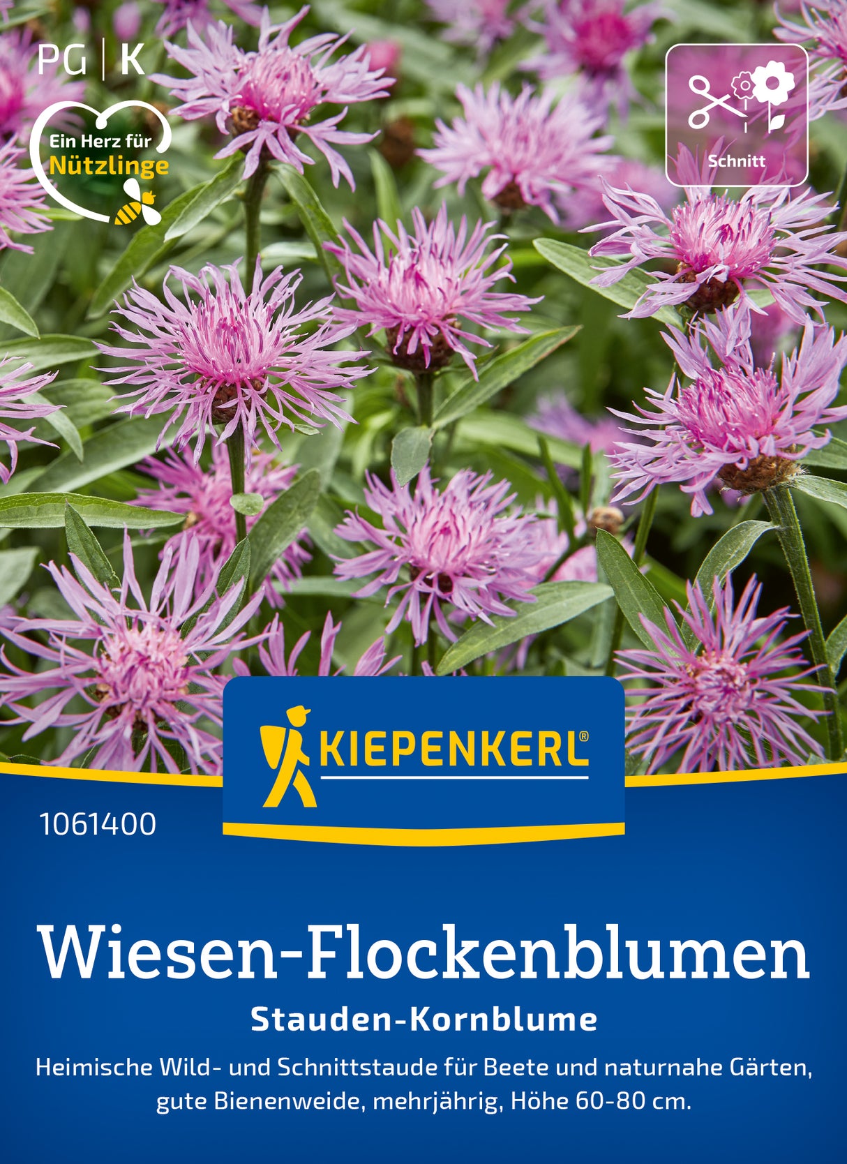 Kiepenkerl Wiesen-flockenblumen Wiesen-Flockenblume