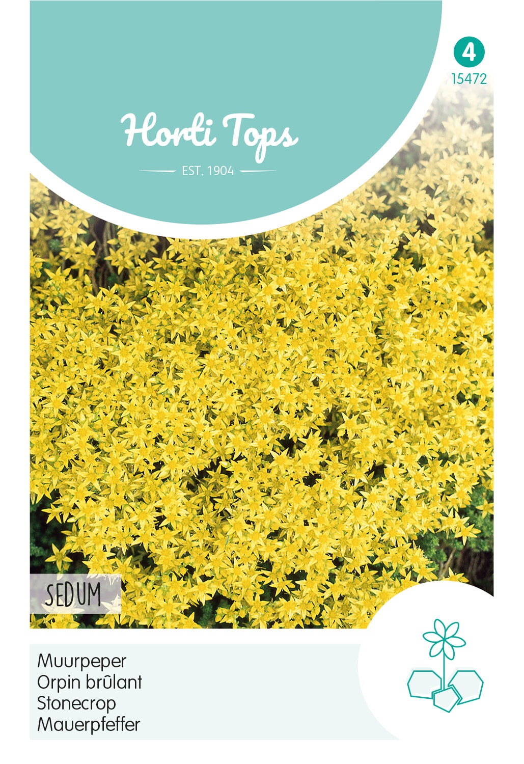 Horti Tops Mauerpfeffer Acre