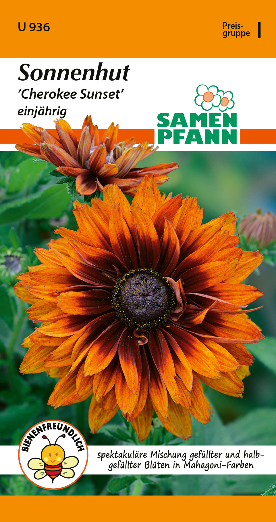 Samen Pfann Cherokee Sunset Sonnenhut